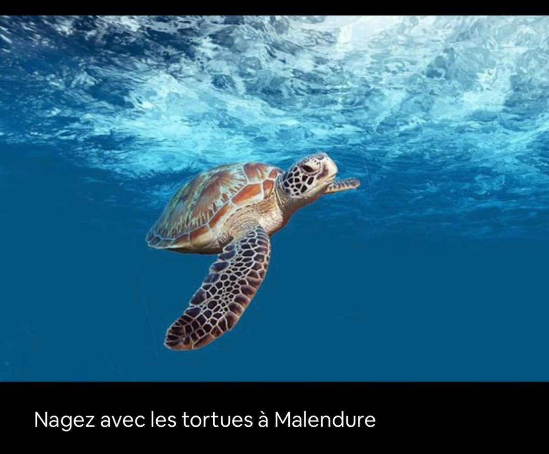 Gite Ti Papiyon Bouillante Exteriör bild